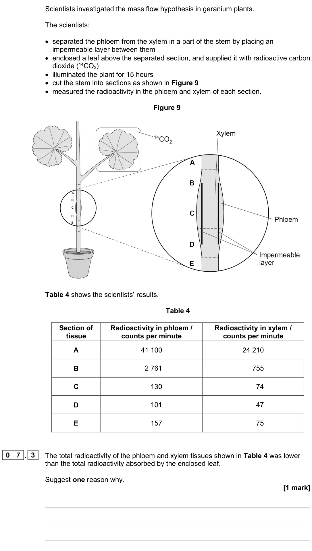 June 2025 AS Paper 1, question 07.3: The total radioactivity of the phloem and xylem tissues shown in Table 4 was lower than the total radioactivity absorbed by the enclosed leaf. Suggest one reaso