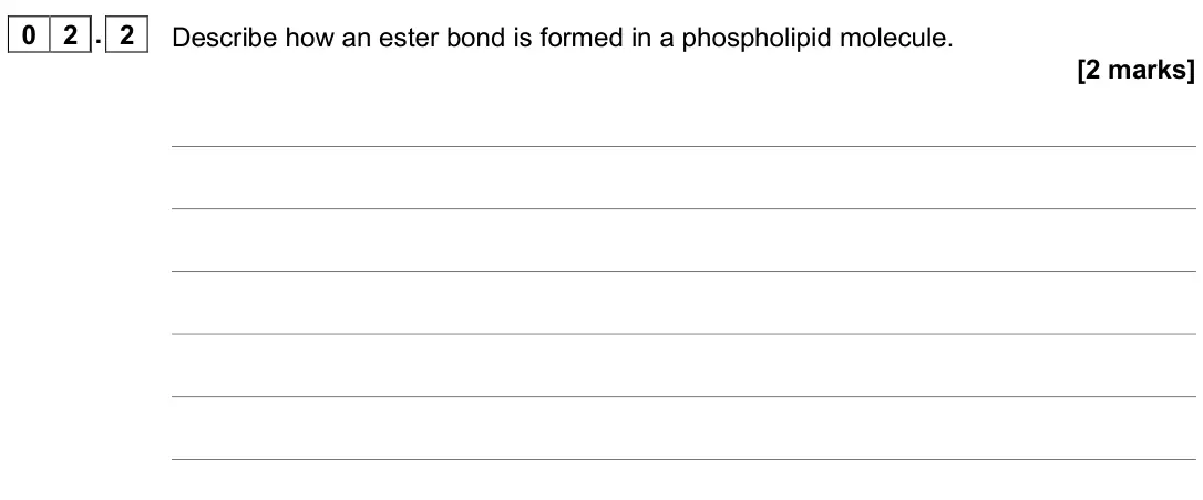 November 2020 AS Paper 1, question 02.2: Describe how an ester bond is formed in a phospholipid molecule. [2 marks]