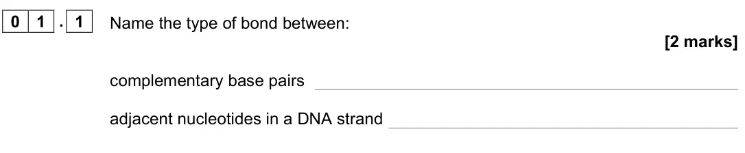 November 2021 AS Paper 1, question 01.1: Name the type of bond between: [2 marks] complementary base pairs adjacent nucleotides in a DNA strand