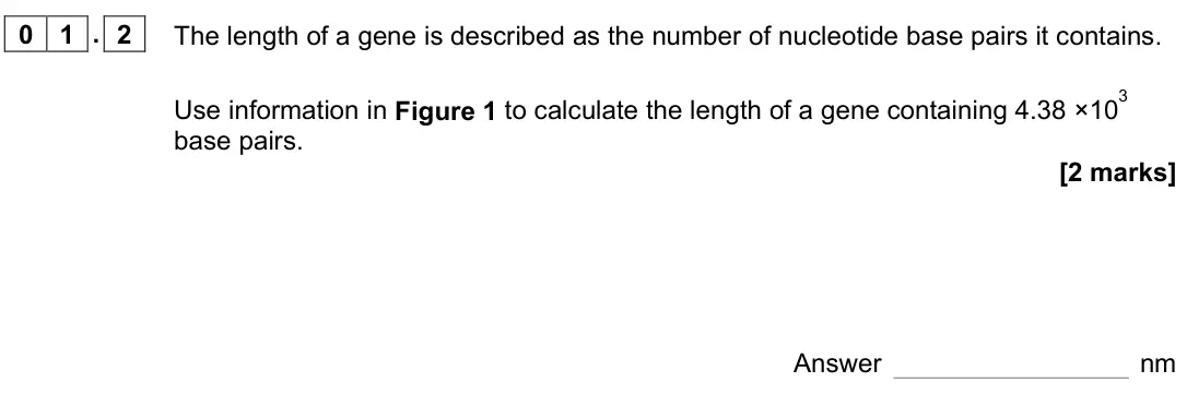 November 2021 AS Paper 1, question 01.2: The length of a gene is described as the number of nucleotide base pairs it contains. Use information in Figure 1 to calculate the length of a gene containing 4