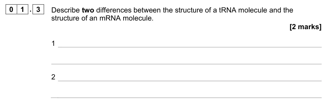 November 2021 AS Paper 1, question 01.3: Describe two differences between the structure of a tRNA molecule and the structure of an mRNA molecule. [2 marks] 1 2