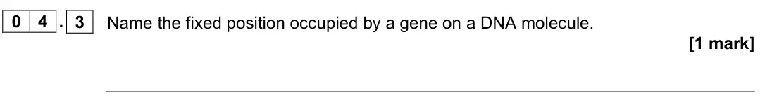 November 2021 AS Paper 1, question 04.3: Name the fixed position occupied by a gene on a DNA molecule. [1 mark]