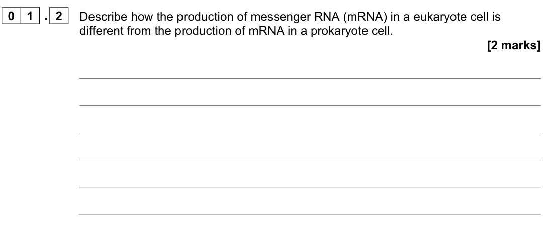 June 2022 AS Paper 2, question 01.2: Describe how the production of messenger RNA (mRNA) in a eukaryote cell is different from the production of mRNA in a prokaryote cell. [2 marks]
