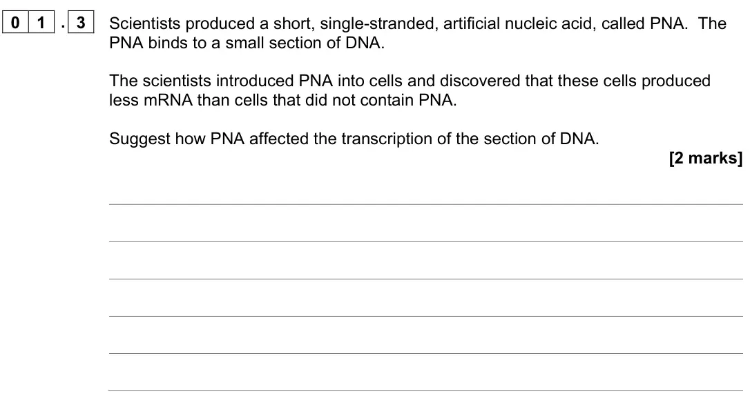 June 2022 AS Paper 2, question 01.3: Scientists produced a short, single-stranded, artificial nucleic acid, called PNA. The PNA binds to a small section of DNA. The scientists introduced PNA into c