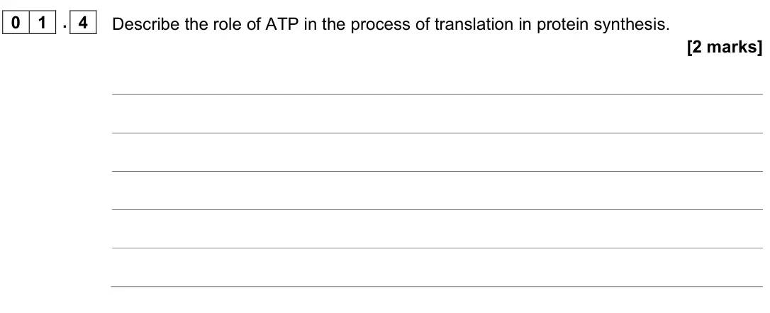 June 2022 AS Paper 2, question 01.4: Describe the role of ATP in the process of translation in protein synthesis. [2 marks]