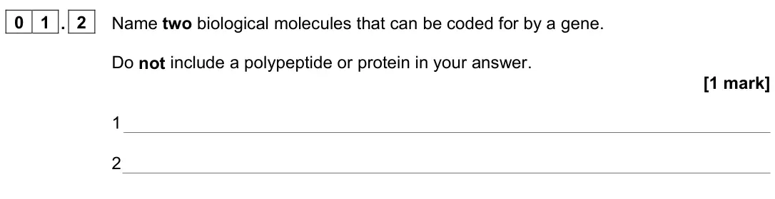 June 2023 AS Paper 2, question 01.2: Name two biological molecules that can be coded for by a gene. Do not include a polypeptide or protein in your answer. [1 mark] 1 2