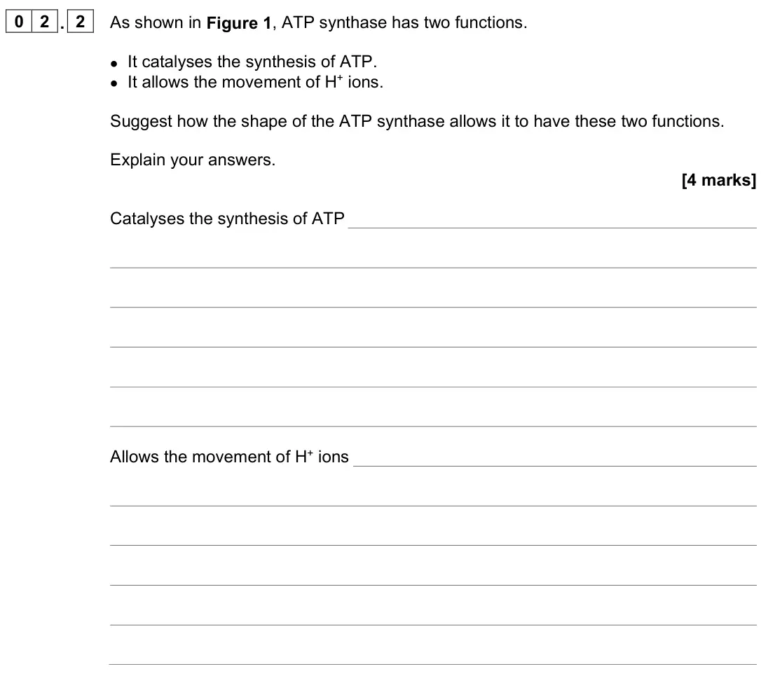 June 2023 AS Paper 2, question 02.2: As shown in Figure 1, ATP synthase has two functions. • It catalyses the synthesis of ATP. • It allows the movement of H+ ions. Suggest how the shape of the ATP