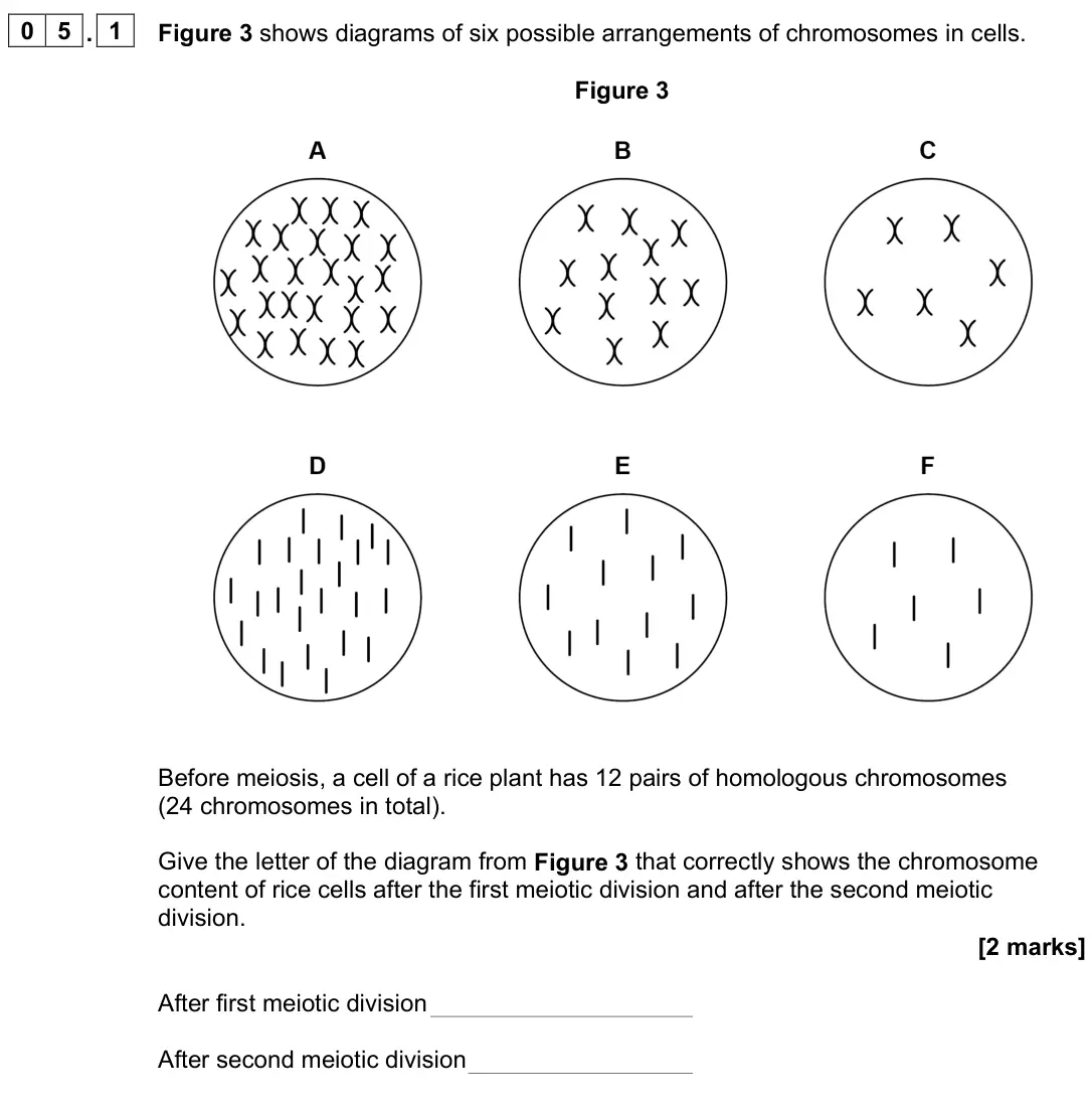 June 2023 AS Paper 2, question 05.1: Figure 3 shows diagrams of six possible arrangements of chromosomes in cells. Figure 3 Before meiosis, a cell of a rice plant has 12 pairs of homologous chromos