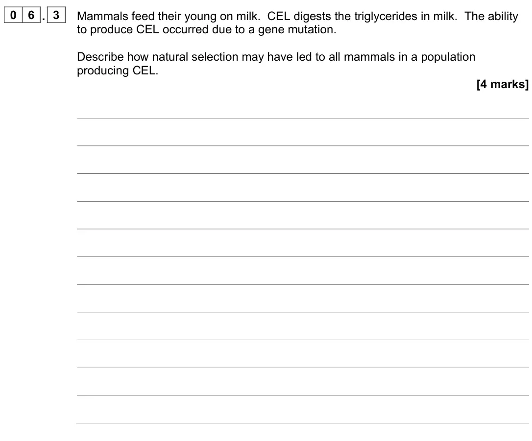 June 2023 AS Paper 2, question 06.3: Mammals feed their young on milk. CEL digests the triglycerides in milk. The ability to produce CEL occurred due to a gene mutation. Describe how natural select