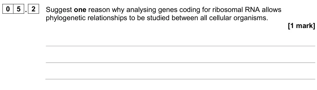 June 2024 AS Paper 2, question 05.2: Suggest one reason why analysing genes coding for ribosomal RNA allows phylogenetic relationships to be studied between all cellular organisms. [1 mark]