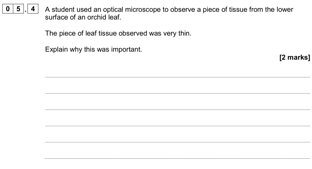 June 2024 AS Paper 2, question 05.4: A student used an optical microscope to observe a piece of tissue from the lower surface of an orchid leaf. The piece of leaf tissue observed was very thin. Exp