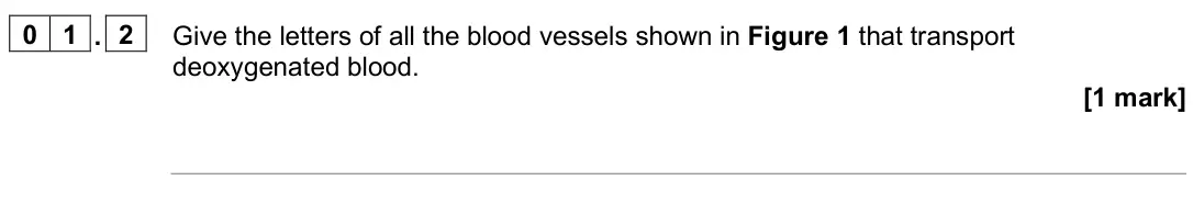 June 2025 AS Paper 2, question 01.2: Give the letters of all the blood vessels shown in Figure 1 that transport deoxygenated blood. [1 mark]