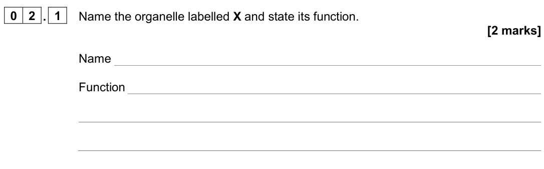 June 2025 AS Paper 2, question 02.1: Name the organelle labelled X and state its function. [2 marks] Name Function