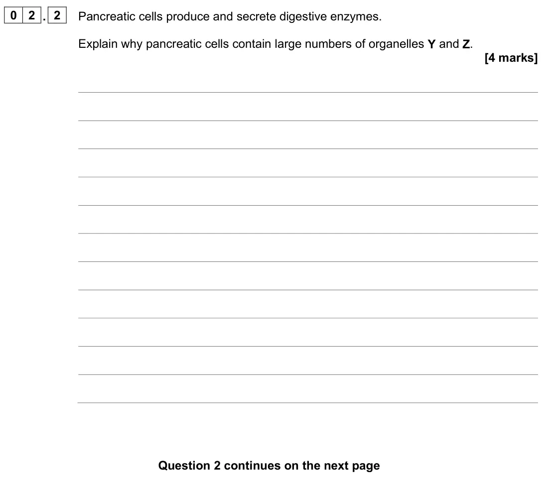 June 2025 AS Paper 2, question 02.2: Pancreatic cells produce and secrete digestive enzymes. Explain why pancreatic cells contain large numbers of organelles Y and Z. [4 marks]