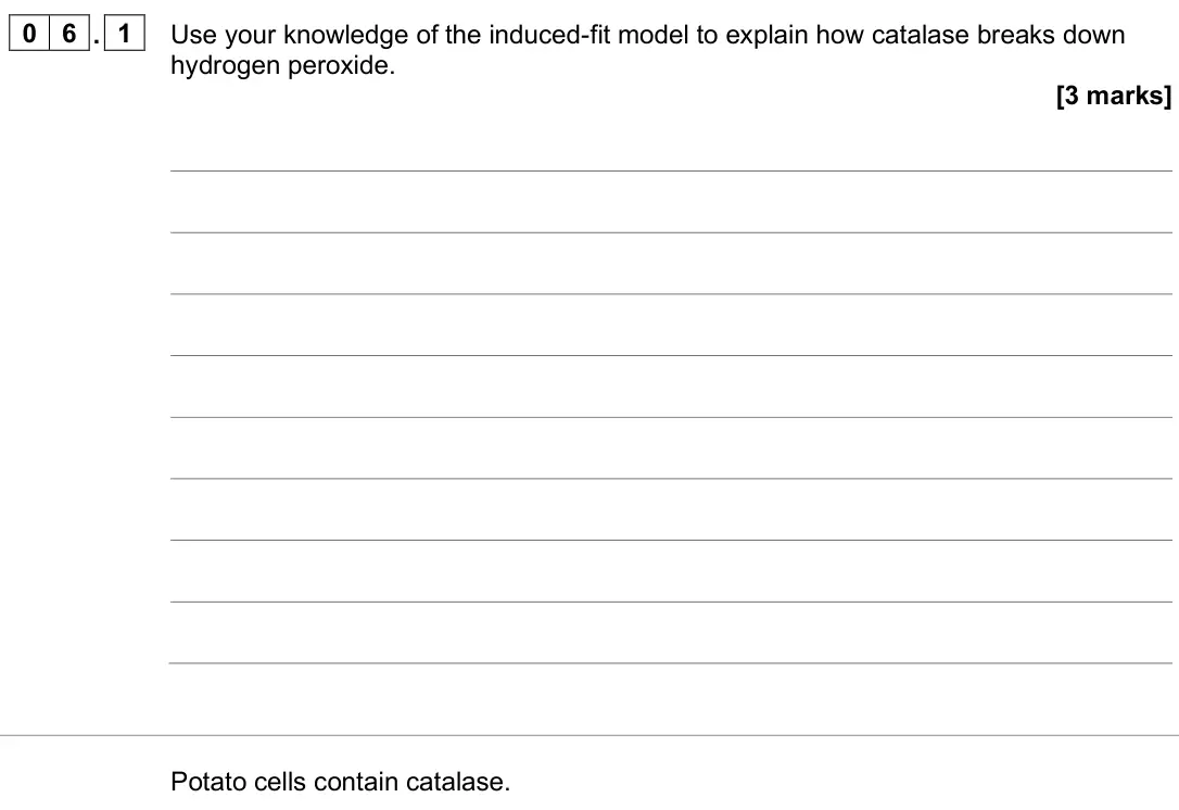 June 2025 AS Paper 2, question 06.1: Use your knowledge of the induced-fit model to explain how catalase breaks down hydrogen peroxide. [3 marks] Potato cells contain catalase.
