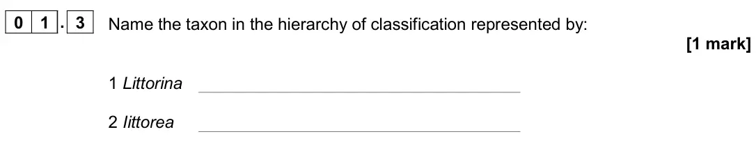 November 2020 AS Paper 2, question 01.3: Name the taxon in the hierarchy of classification represented by: [1 mark] 1 Littorina 2 Iittorea