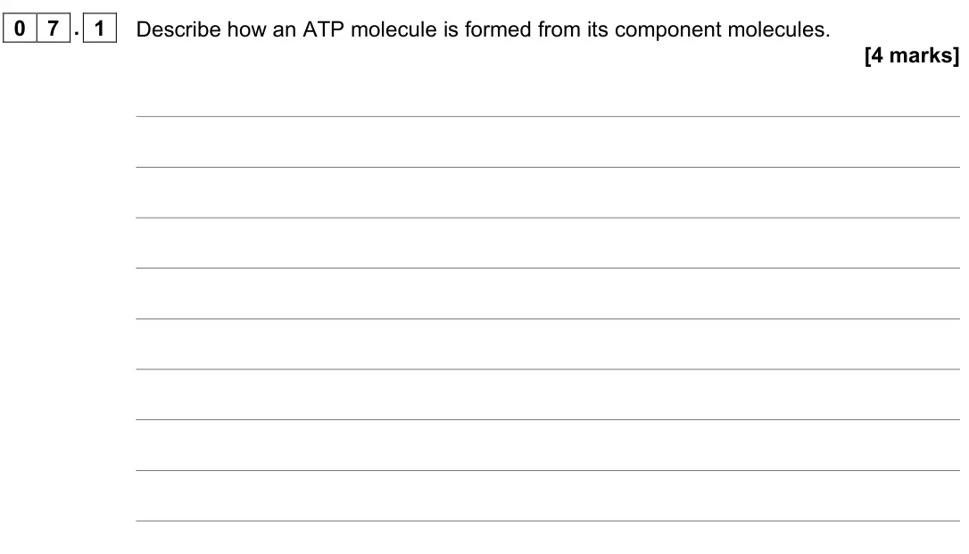 November 2021 AS Paper 2, question 07.1: Describe how an ATP molecule is formed from its component molecules. [4 marks]