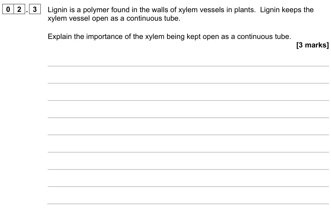 June 2023 Paper 1, question 02.3: Lignin is a polymer found in the walls of xylem vessels in plants. Lignin keeps the xylem vessel open as a continuous tube. Explain the importance of the xylem