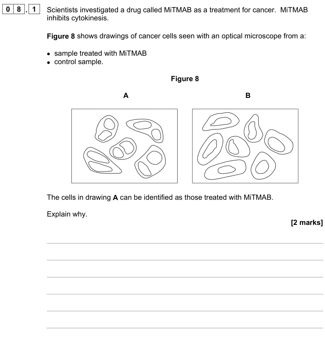 June 2023 Paper 1, question 08.1: Scientists investigated a drug called MiTMAB as a treatment for cancer. MiTMAB inhibits cytokinesis. Figure 8 shows drawings of cancer cells seen with an optica