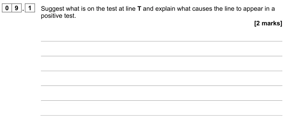 June 2023 Paper 1, question 09.1: Suggest what is on the test at line T and explain what causes the line to appear in a positive test. [2 marks]