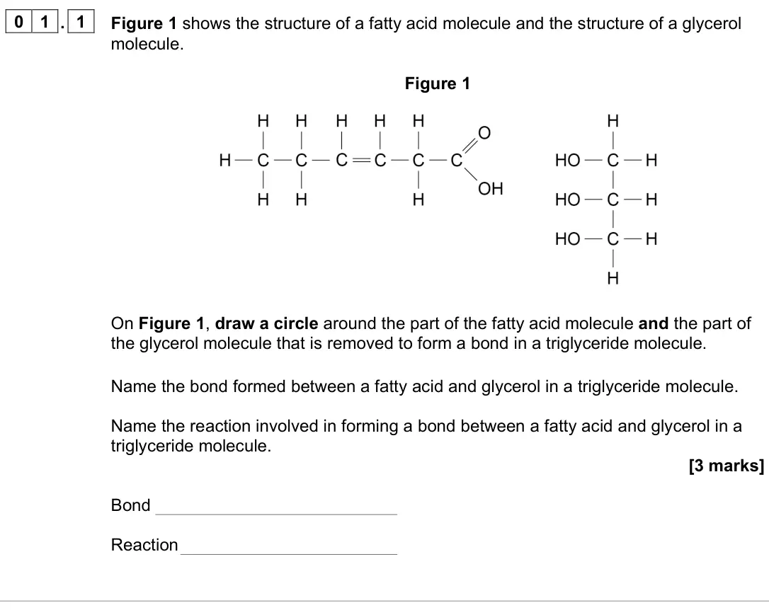 June 2024 Paper 1, question 01.1: Figure 1 shows the structure of a fatty acid molecule and the structure of a glycerol molecule. Figure 1 On Figure 1, draw a circle around the part of the fatty