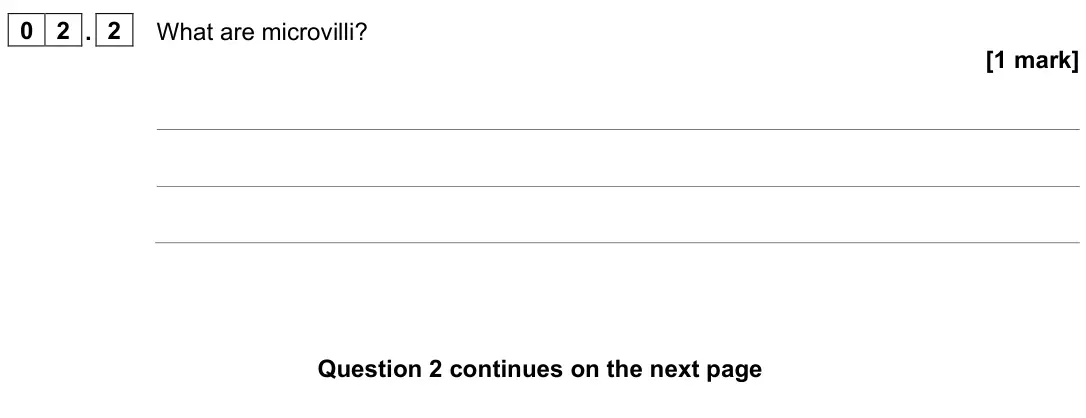 June 2024 Paper 1, question 02.2: What are microvilli? [1 mark]