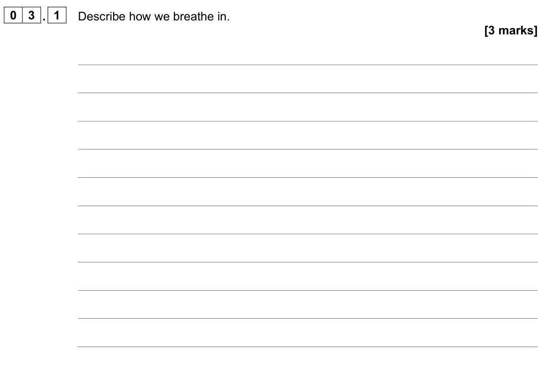 June 2024 Paper 1, question 03.1: Describe how we breathe in. [3 marks]