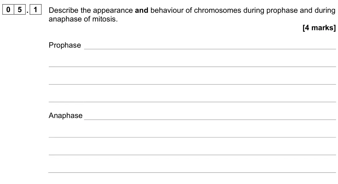 June 2024 Paper 1, question 05.1: Describe the appearance and behaviour of chromosomes during prophase and during anaphase of mitosis. [4 marks] Prophase Anaphase