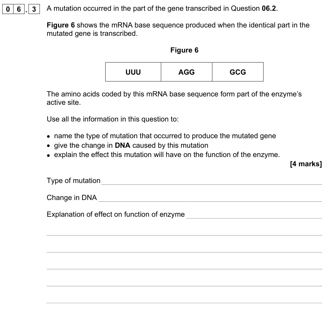 June 2024 Paper 1, question 06.3: A mutation occurred in the part of the gene transcribed in Question 06.2. Figure 6 shows the mRNA base sequence produced when the identical part in the mutated 