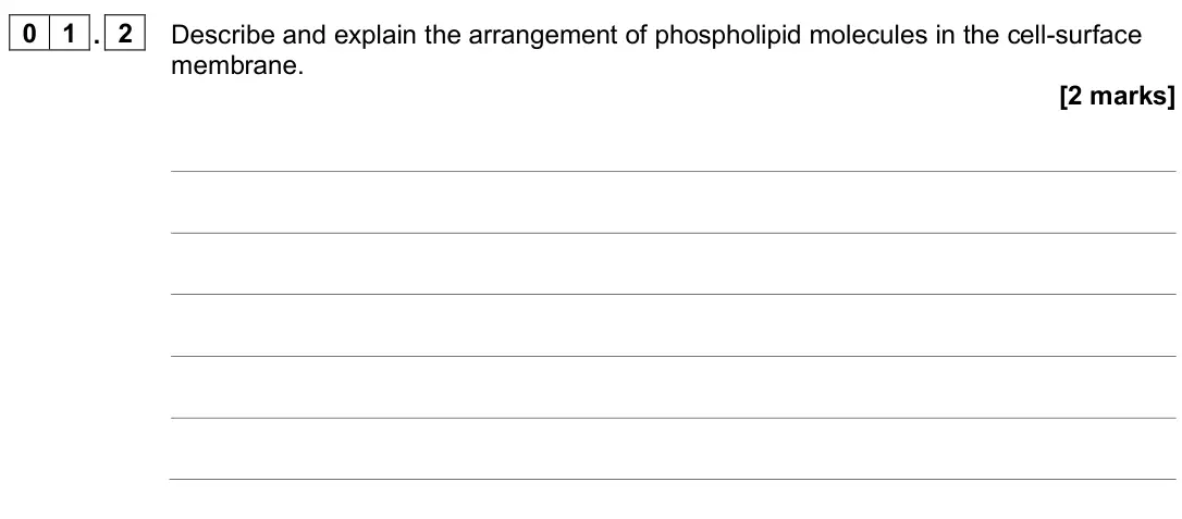 June 2025 Paper 1, question 01.2: Describe and explain the arrangement of phospholipid molecules in the cell-surface membrane. [2 marks]
