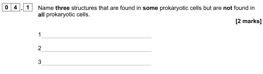 June 2025 Paper 1, question 04.1: Name three structures that are found in some prokaryotic cells but are not found in all prokaryotic cells. [2 marks] 1 2 3
