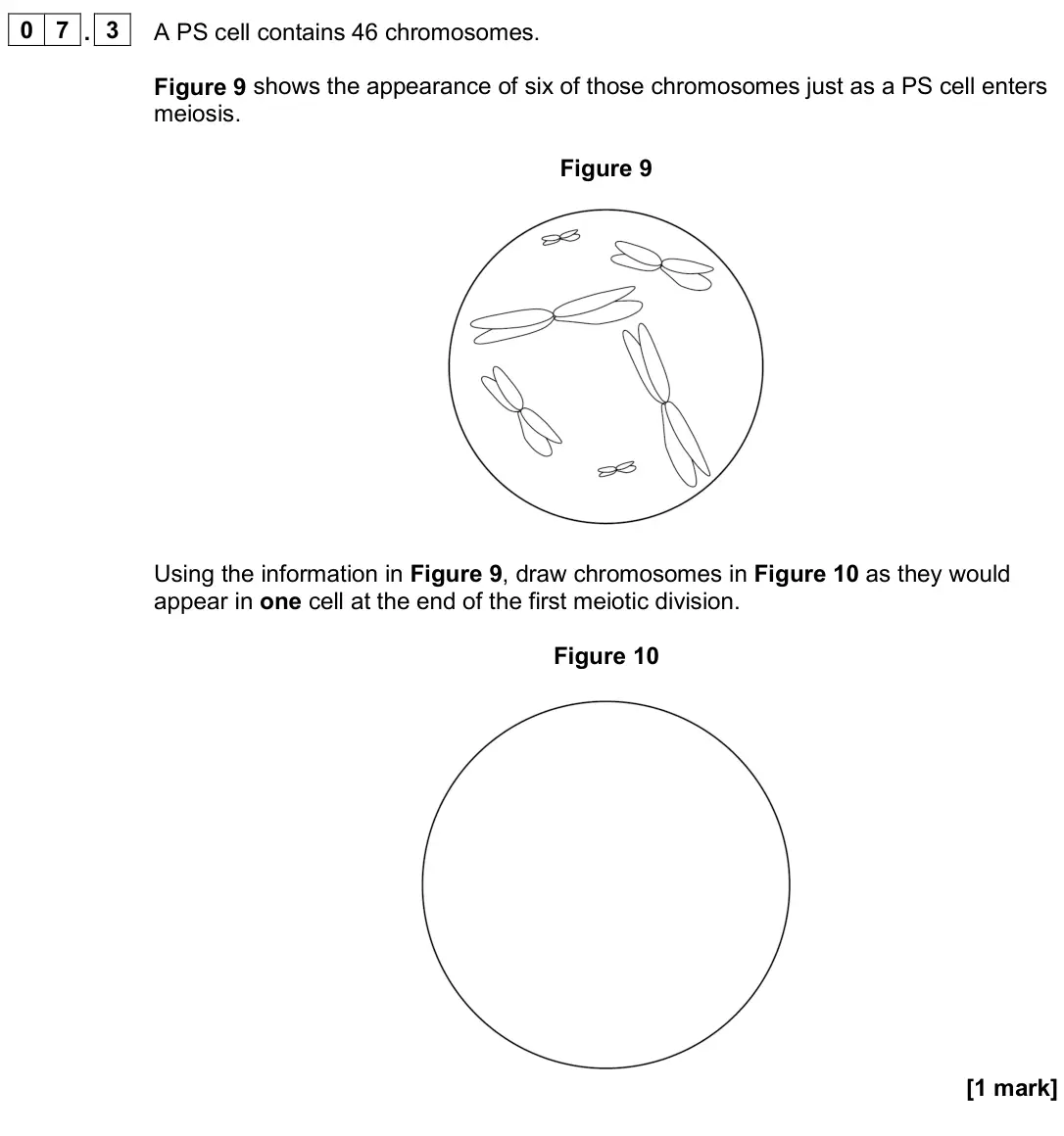 June 2025 Paper 1, question 07.3: A PS cell contains 46 chromosomes. Figure 9 shows the appearance of six of those chromosomes just as a PS cell enters meiosis. Figure 9 Using the information in