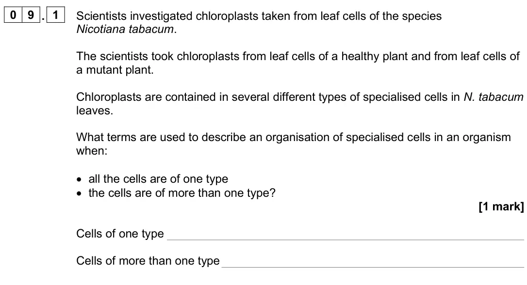 June 2025 Paper 1, question 09.1: Scientists investigated chloroplasts taken from leaf cells of the species Nicotiana tabacum. The scientists took chloroplasts from leaf cells of a healthy plant
