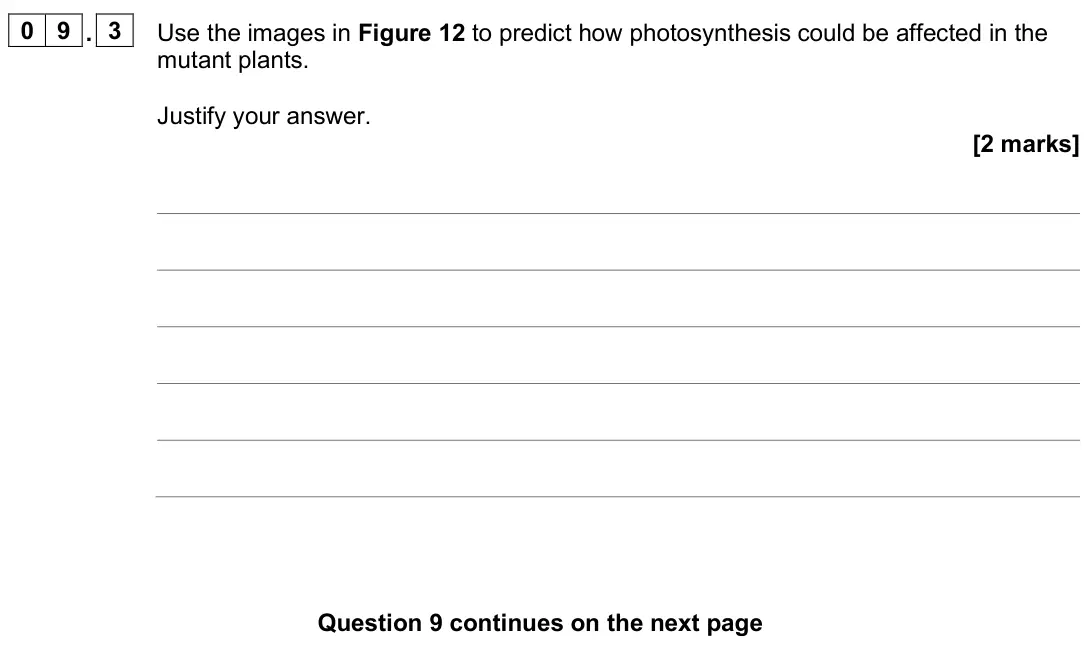 June 2025 Paper 1, question 09.3: Use the images in Figure 12 to predict how photosynthesis could be affected in the mutant plants. Justify your answer. [2 marks]
