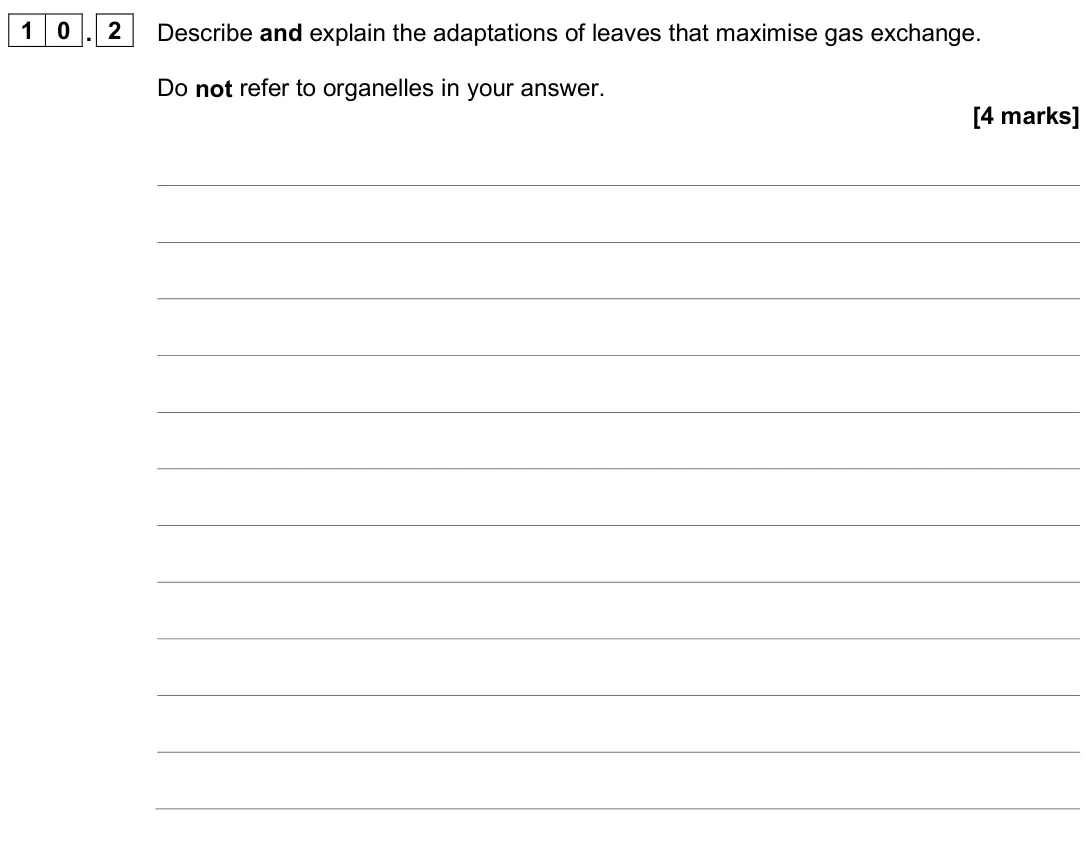 June 2025 Paper 1, question 10.2: Describe and explain the adaptations of leaves that maximise gas exchange. Do not refer to organelles in your answer. [4 marks]