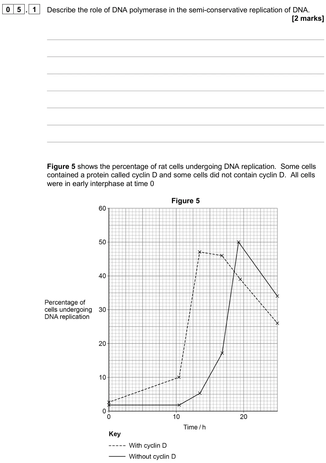 November 2020 Paper 1, question 05.1: Describe the role of DNA polymerase in the semi-conservative replication of DNA. [2 marks] Figure 5 shows the percentage of rat cells undergoing DNA replication