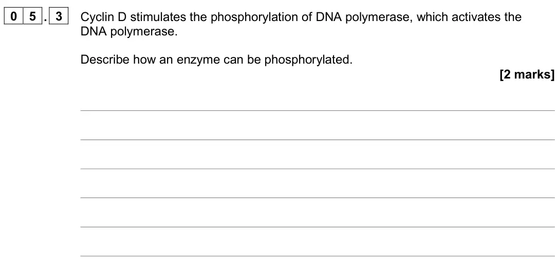November 2020 Paper 1, question 05.3: Cyclin D stimulates the phosphorylation of DNA polymerase, which activates the DNA polymerase. Describe how an enzyme can be phosphorylated. [2 marks]