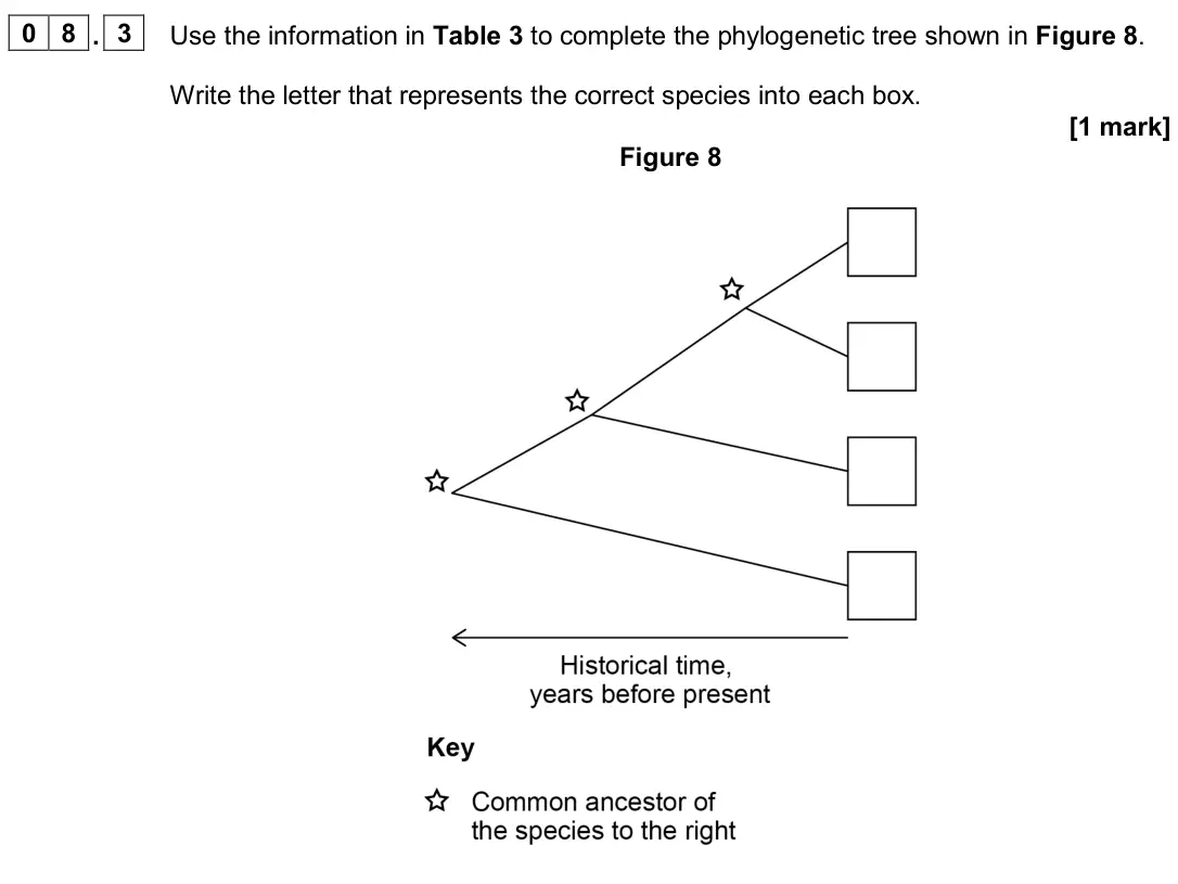 November 2020 Paper 1, question 08.3: Use the information in Table 3 to complete the phylogenetic tree shown in Figure 8. Write the letter that represents the correct species into each box. [1 mark]