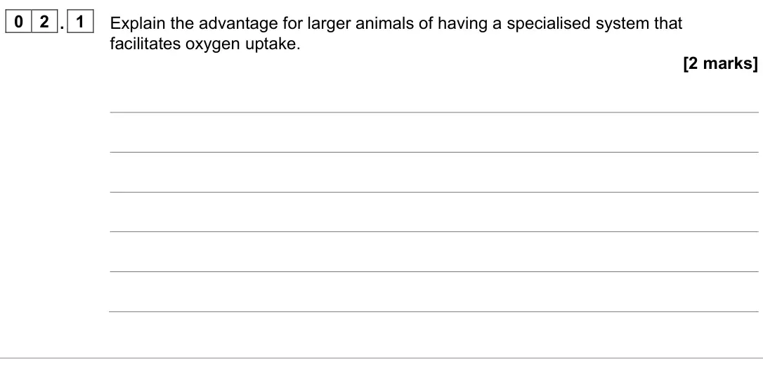 November 2021 Paper 1, question 02.1: Explain the advantage for larger animals of having a specialised system that facilitates oxygen uptake. [2 marks]