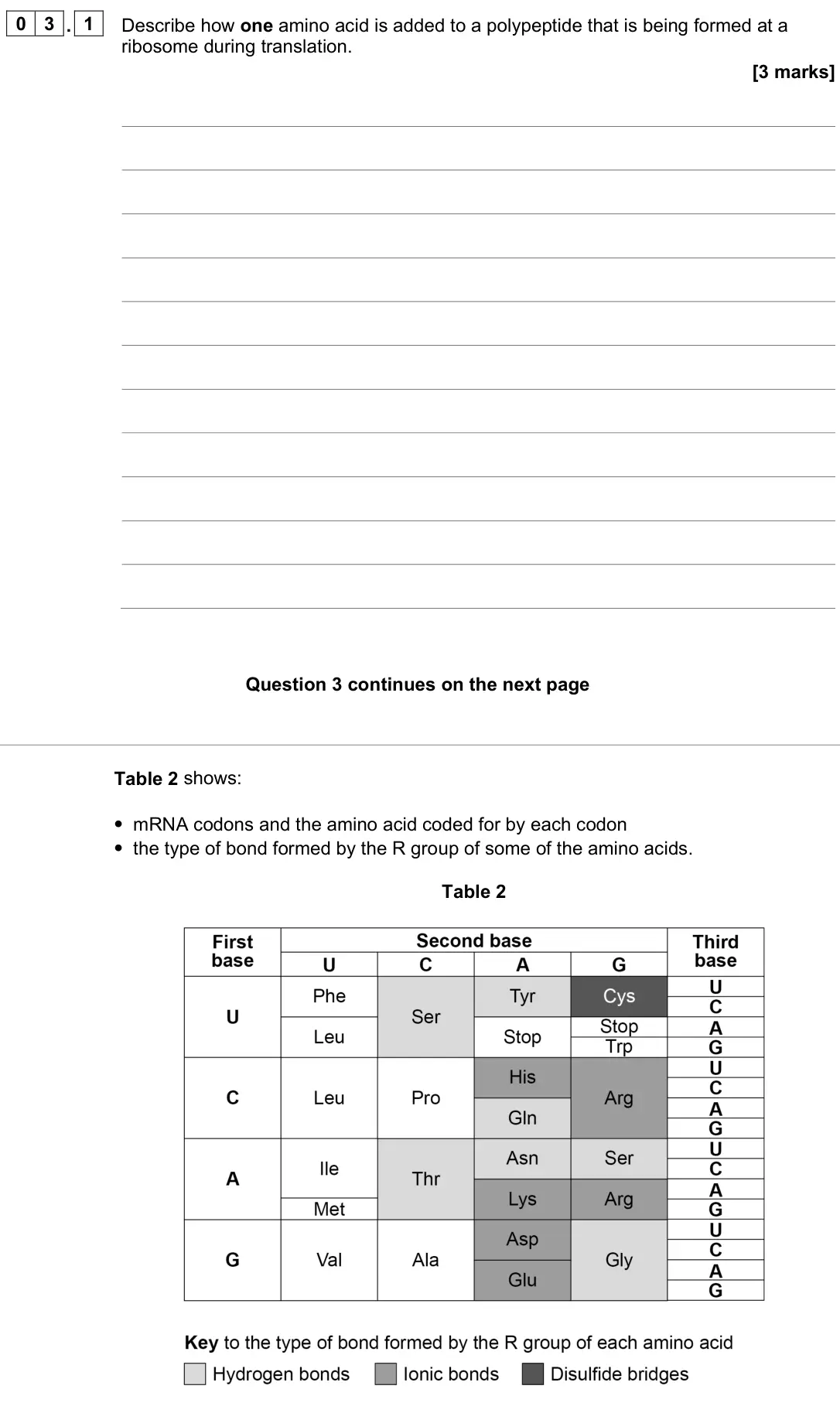 November 2021 Paper 1, question 03.1: Describe how one amino acid is added to a polypeptide that is being formed at a ribosome during translation. [3 marks] Table 2 shows: • mRNA codons and the amin