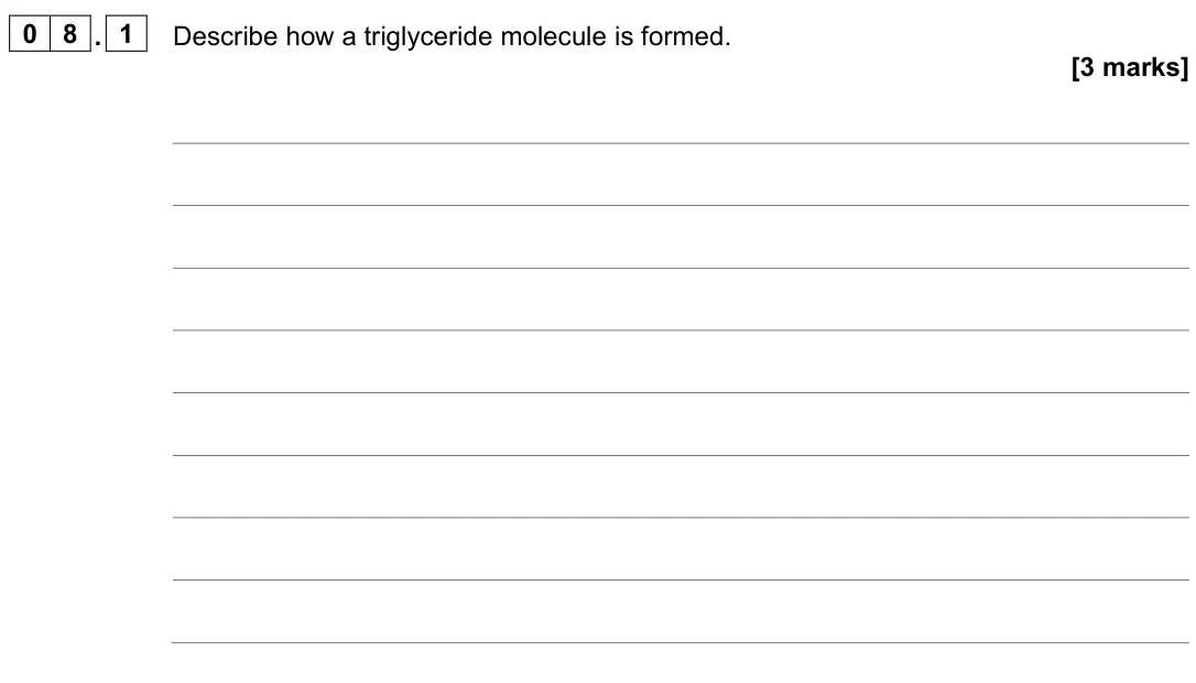 November 2021 Paper 1, question 08.1: Describe how a triglyceride molecule is formed. [3 marks]