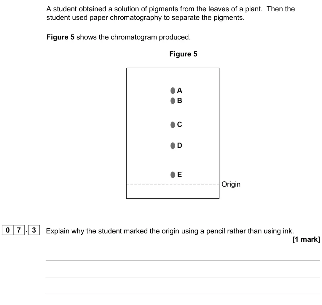 June 2019 Paper 2, question 07.3: Explain why the student marked the origin using a pencil rather than using ink. [1 mark]