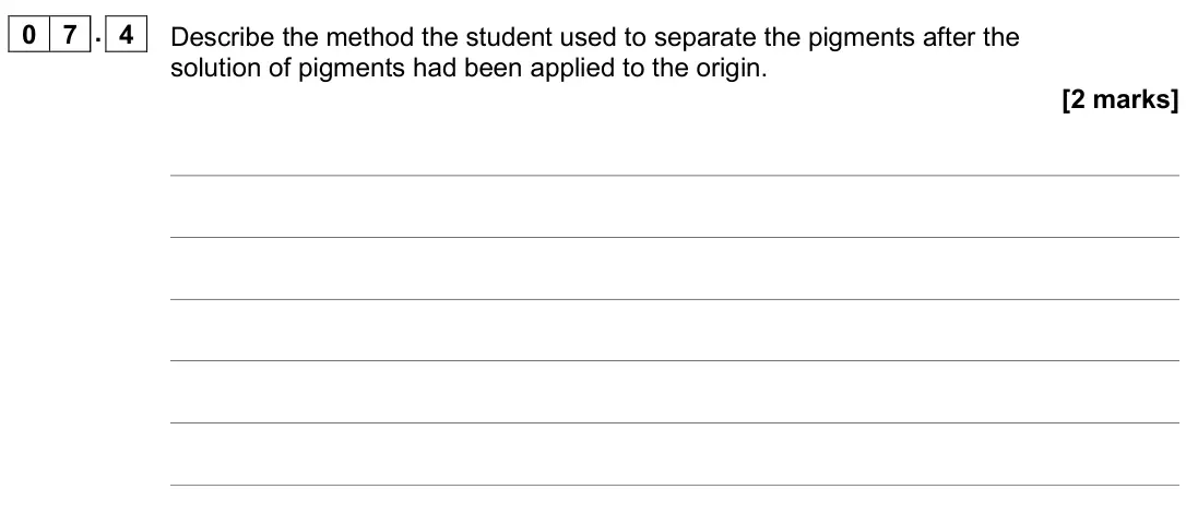 June 2019 Paper 2, question 07.4: Describe the method the student used to separate the pigments after the solution of pigments had been applied to the origin. [2 marks]