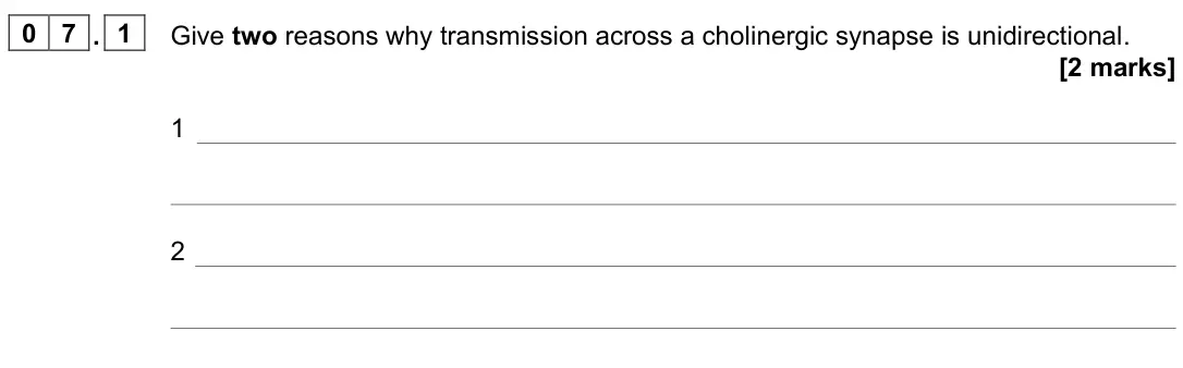 June 2022 Paper 2, question 07.1: Give two reasons why transmission across a cholinergic synapse is unidirectional. [2 marks] 1 2