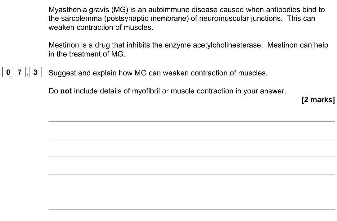 June 2022 Paper 2, question 07.3: Suggest and explain how MG can weaken contraction of muscles. Do not include details of myofibril or muscle contraction in your answer. [2 marks]