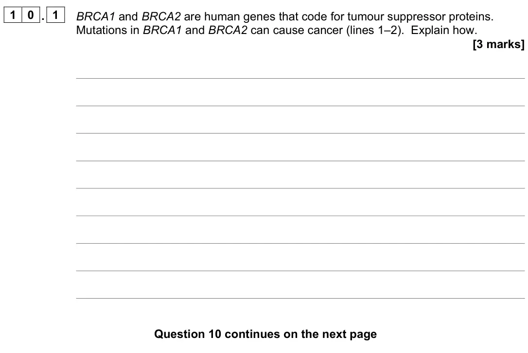 June 2022 Paper 2, question 10.1: BRCA1 and BRCA2 are human genes that code for tumour suppressor proteins. Mutations in BRCA1 and BRCA2 can cause cancer (lines 1–2). Explain how. [3 marks]