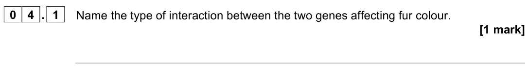 June 2023 Paper 2, question 04.1: Name the type of interaction between the two genes affecting fur colour. [1 mark]