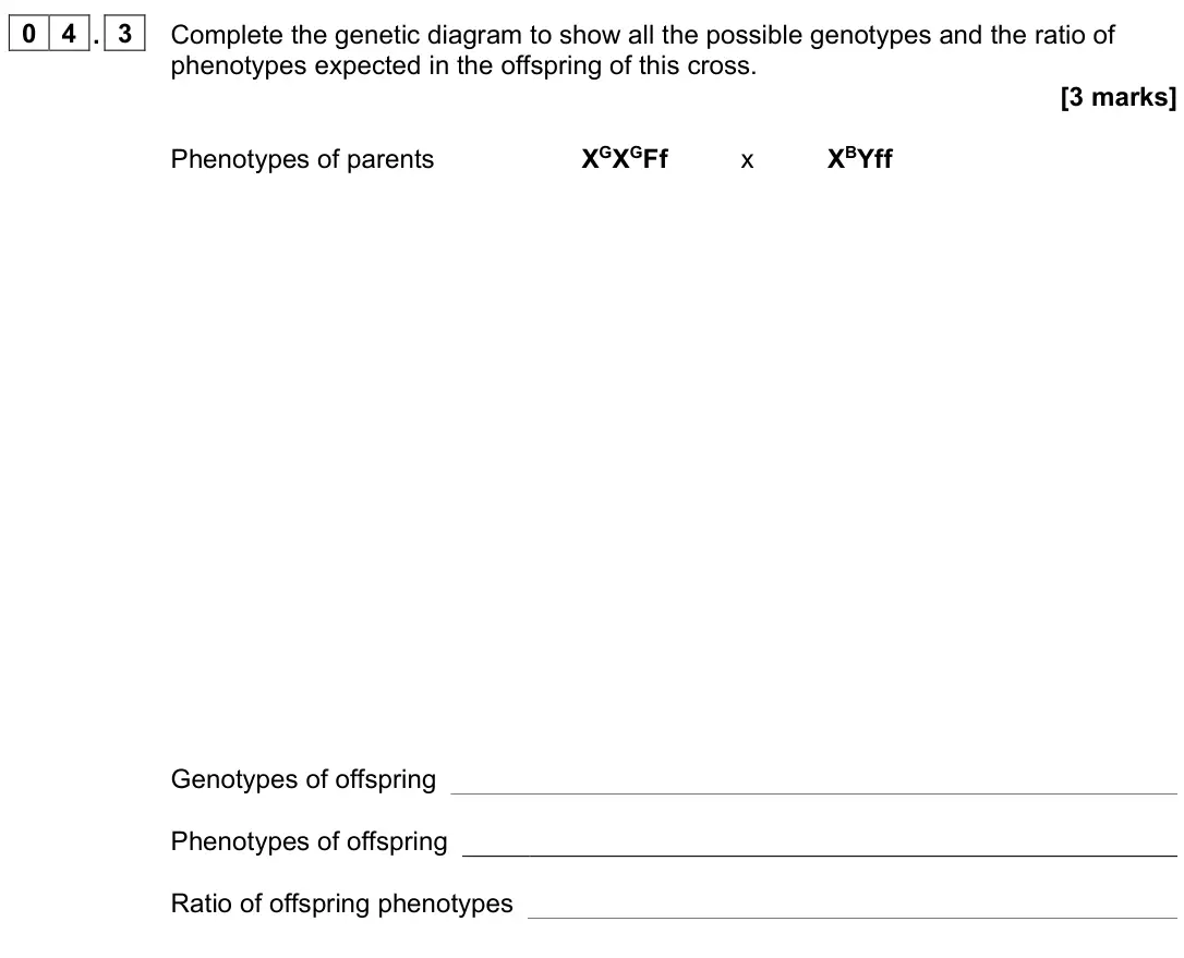 June 2023 Paper 2, question 04.3: Complete the genetic diagram to show all the possible genotypes and the ratio of phenotypes expected in the offspring of this cross. [3 marks] Phenotypes of par