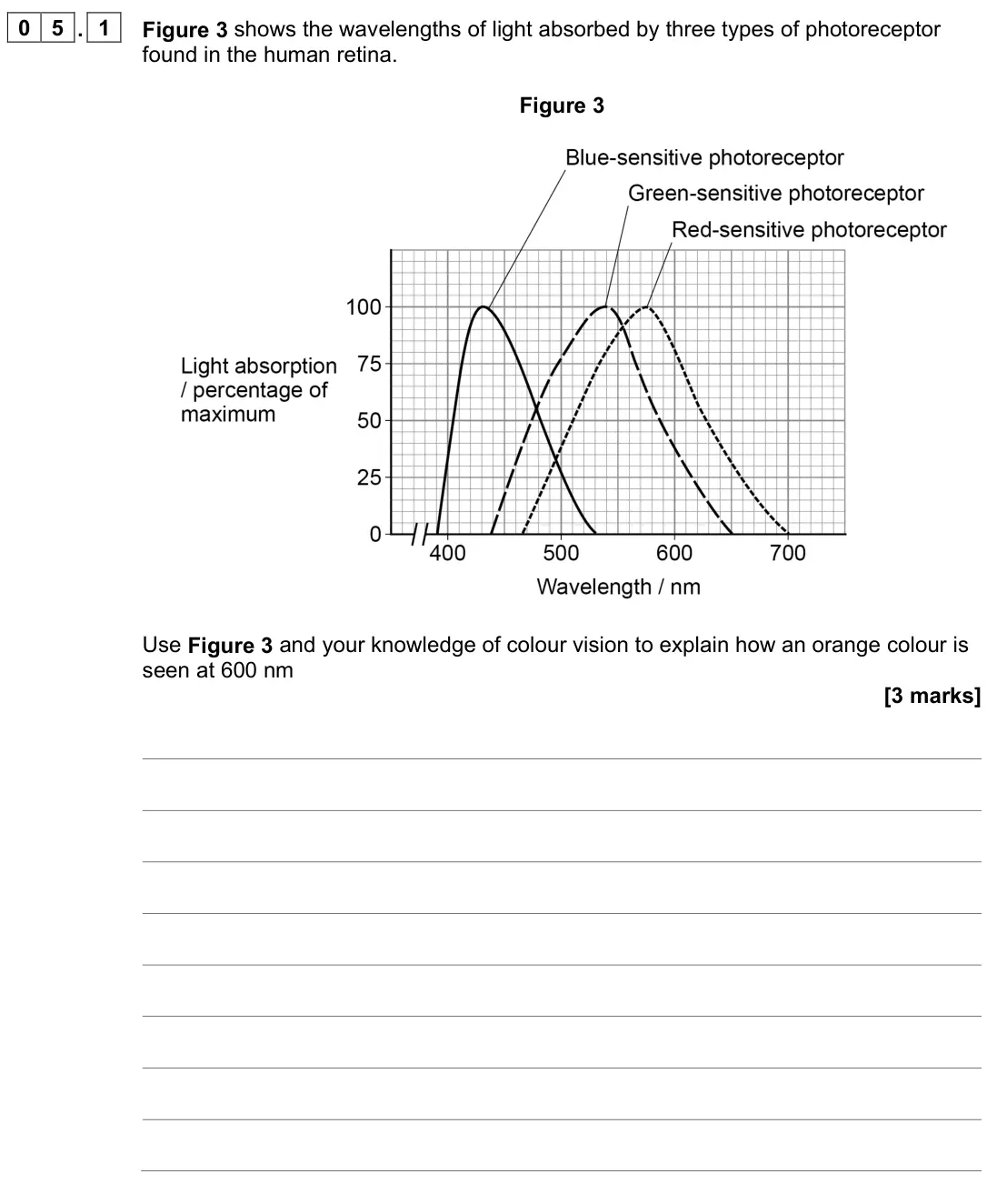 June 2023 Paper 2, question 05.1: Figure 3 shows the wavelengths of light absorbed by three types of photoreceptor found in the human retina. Figure 3 Use Figure 3 and your knowledge of colour v