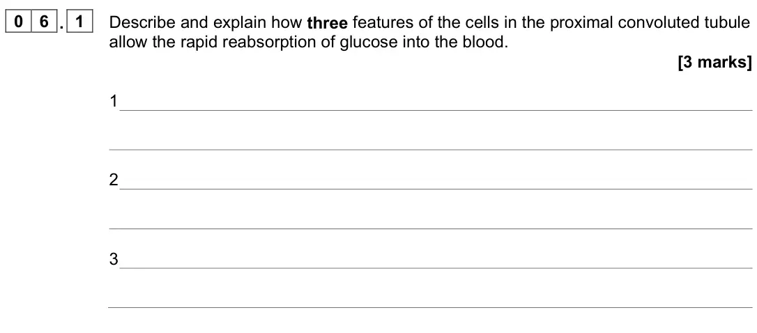 June 2023 Paper 2, question 06.1: Describe and explain how three features of the cells in the proximal convoluted tubule allow the rapid reabsorption of glucose into the blood. [3 marks] 1 2 3